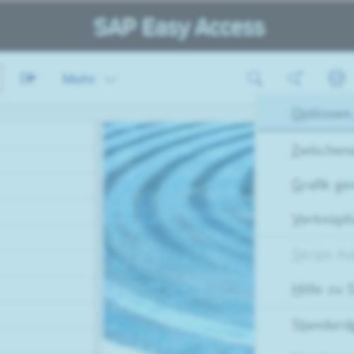 SAP GUI Farben anpassen - Toenjes Consulting GmbH